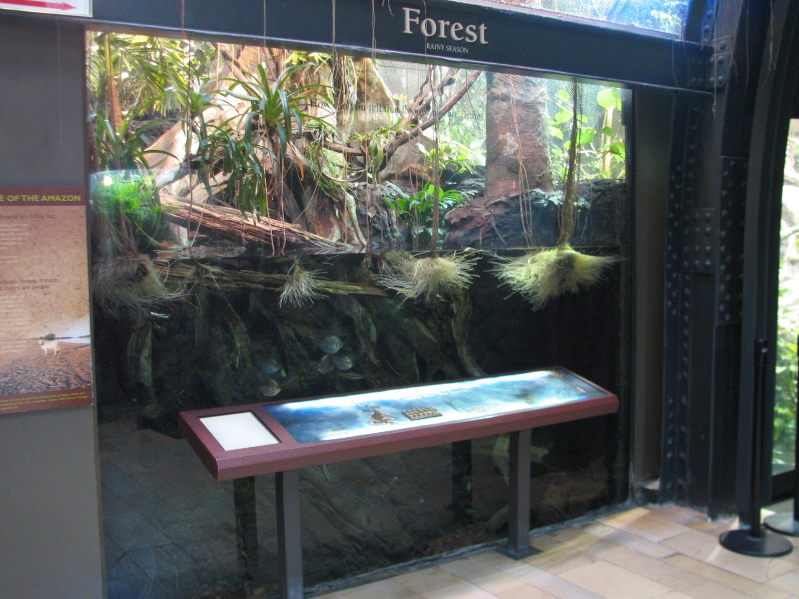 Amazon Rising - Forest in Rainy Season Exhibit