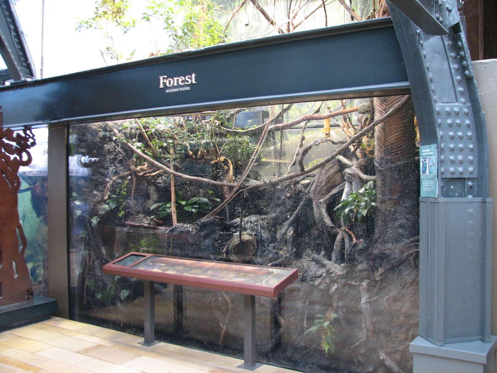 Amazon Rising - Forest in Receding Waters Exhibit