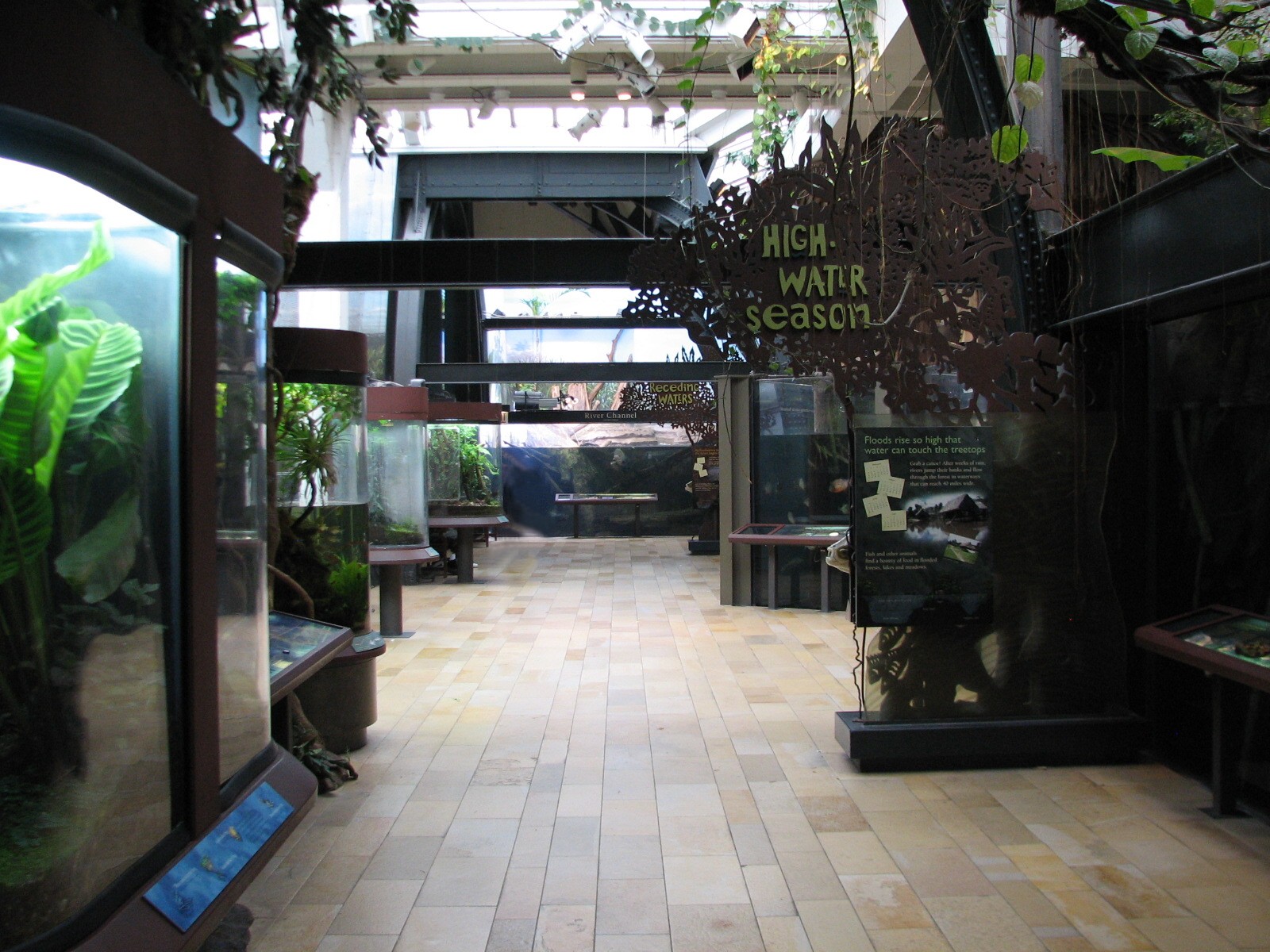 Amazon Rising - High Water Season Gallery