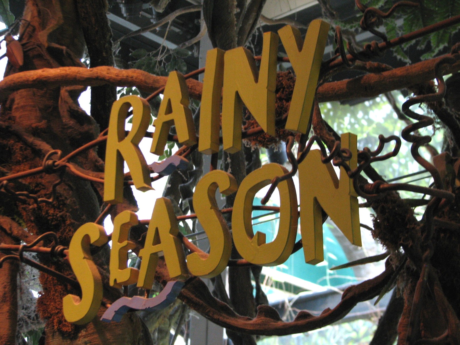 Amazon Rising - Rainly Season Sign