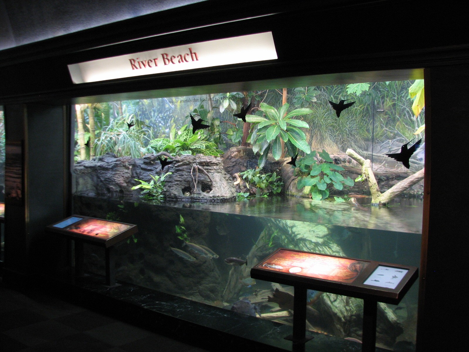Amazon Rising - River Beach Exhibit