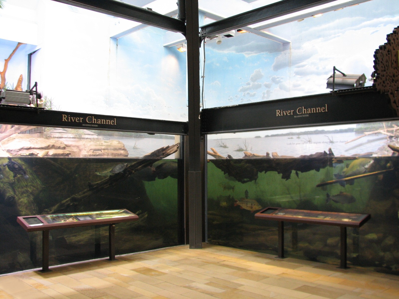 Amazon Rising - River Channel Exhibit