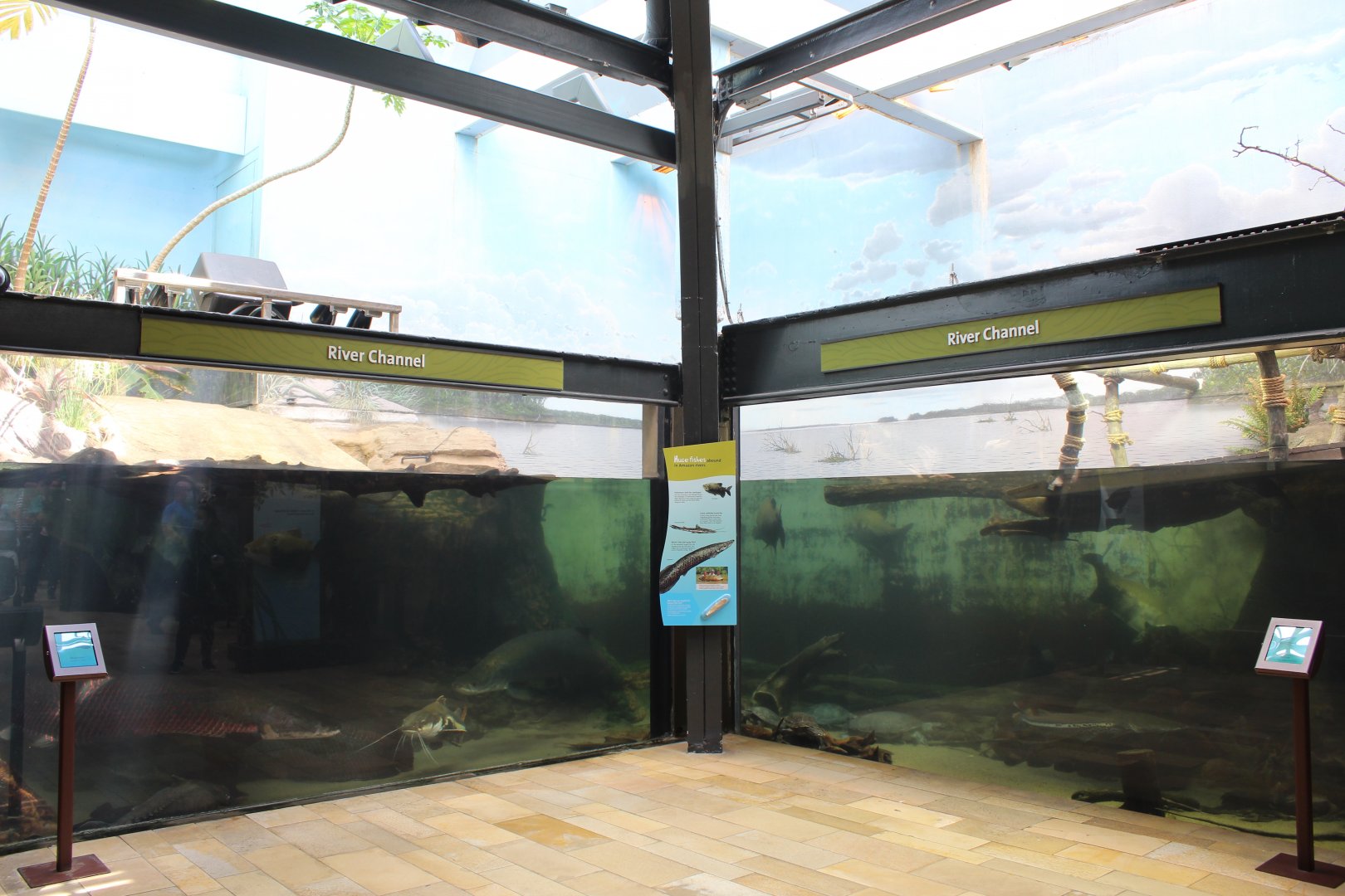 Amazon Rising - River Channel Tank