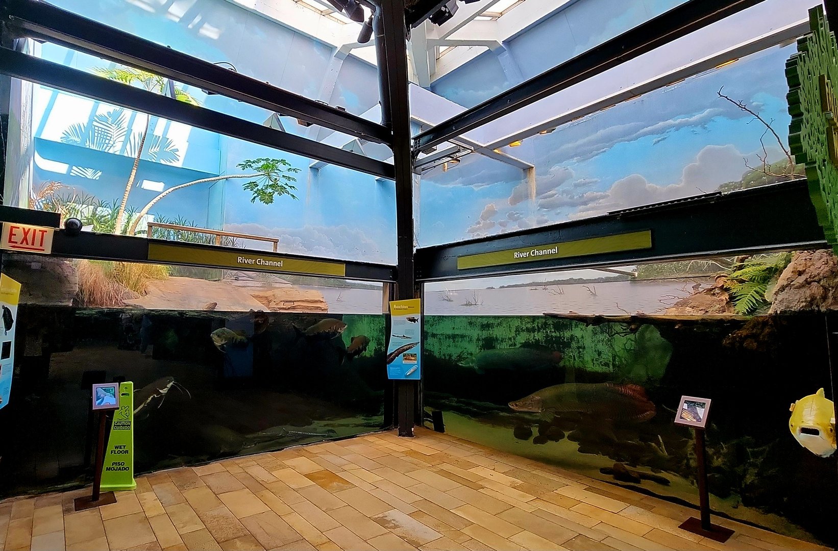 Amazon Rising: River Channel