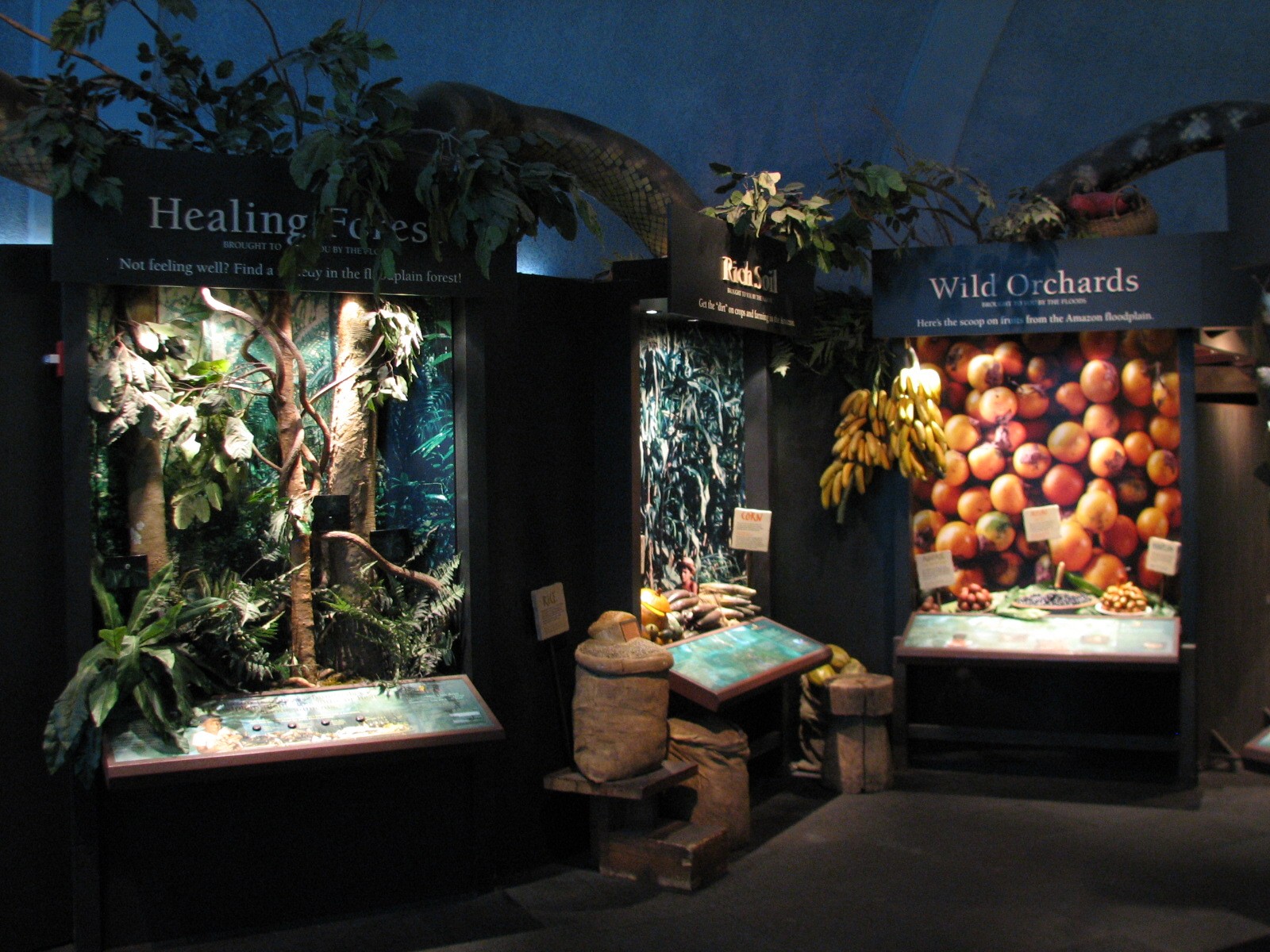 Amazon Rising - River Tales Displays