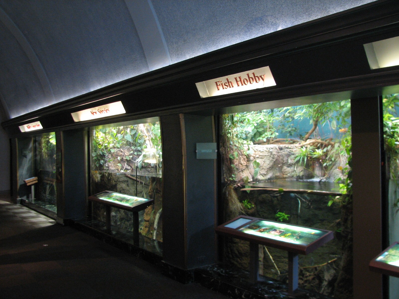 Amazon Rising - River Tales Exhibits