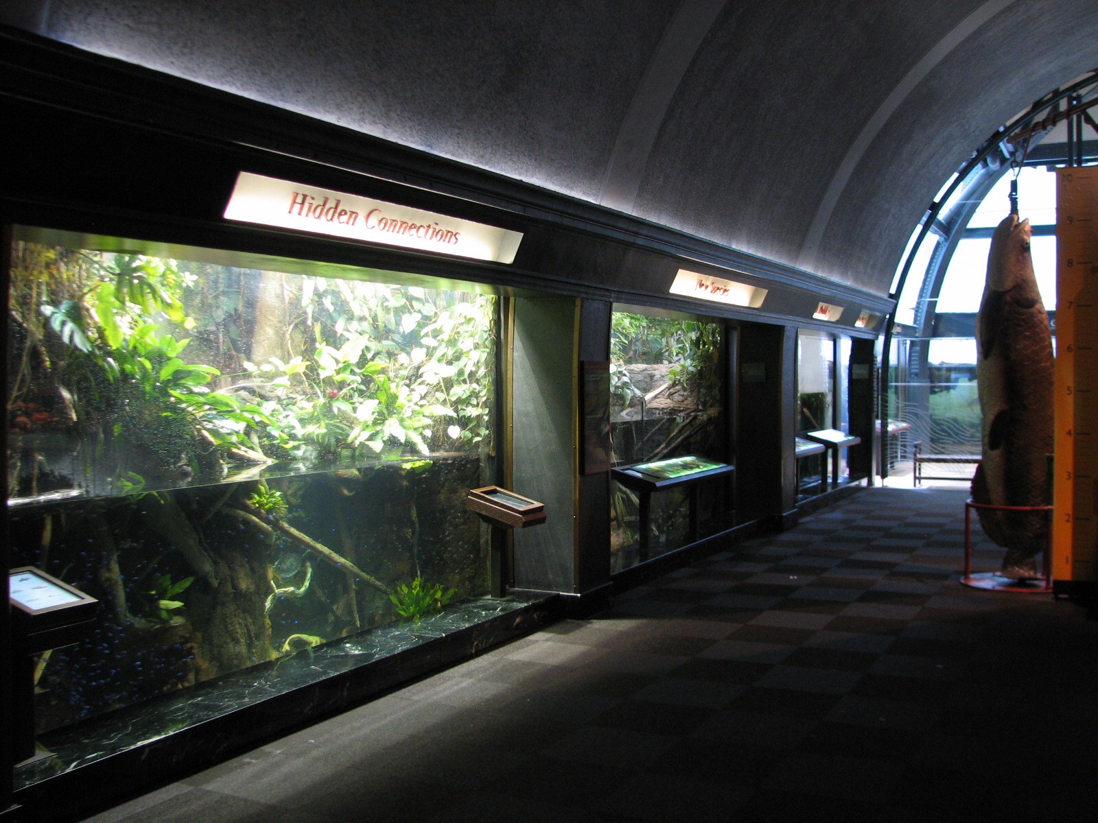 Amazon Rising - River Tales Exhibits