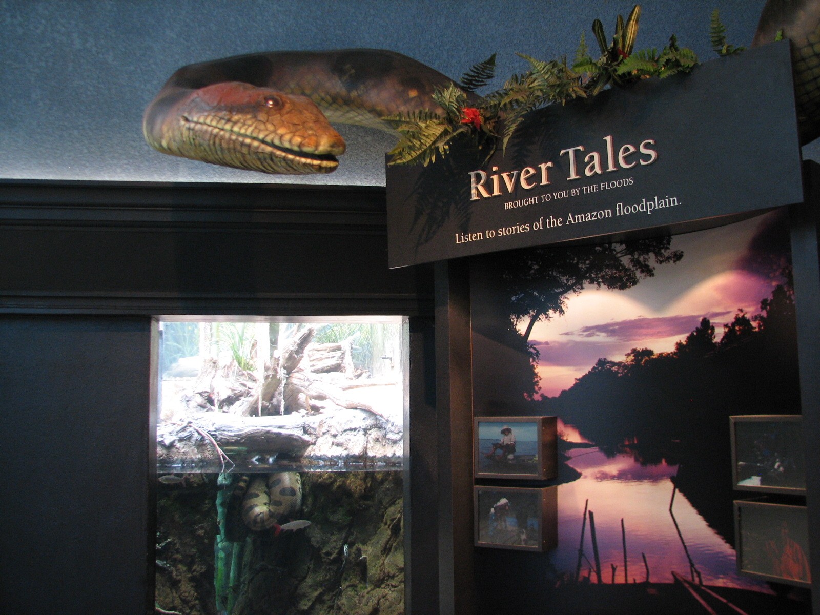 Amazon Rising - River Tales Sign