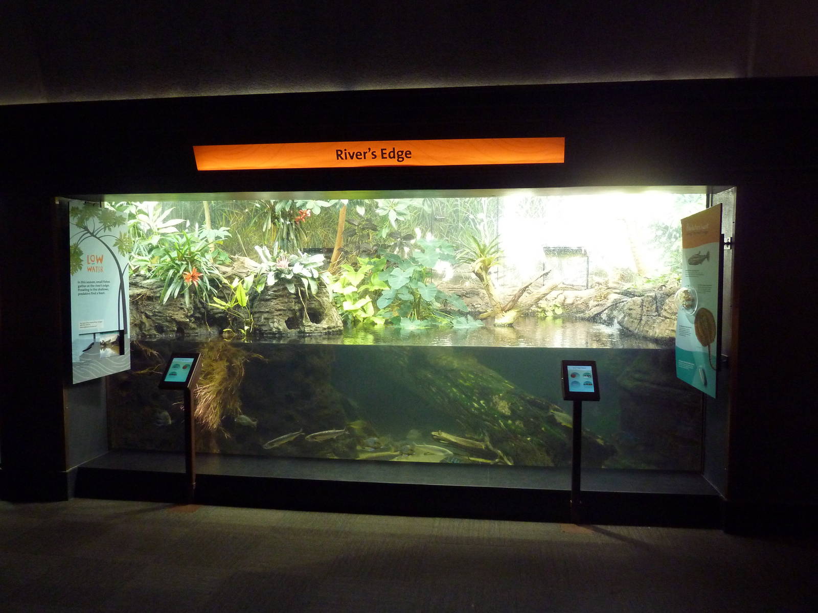 Amazon Rising - River's Edge Exhibit