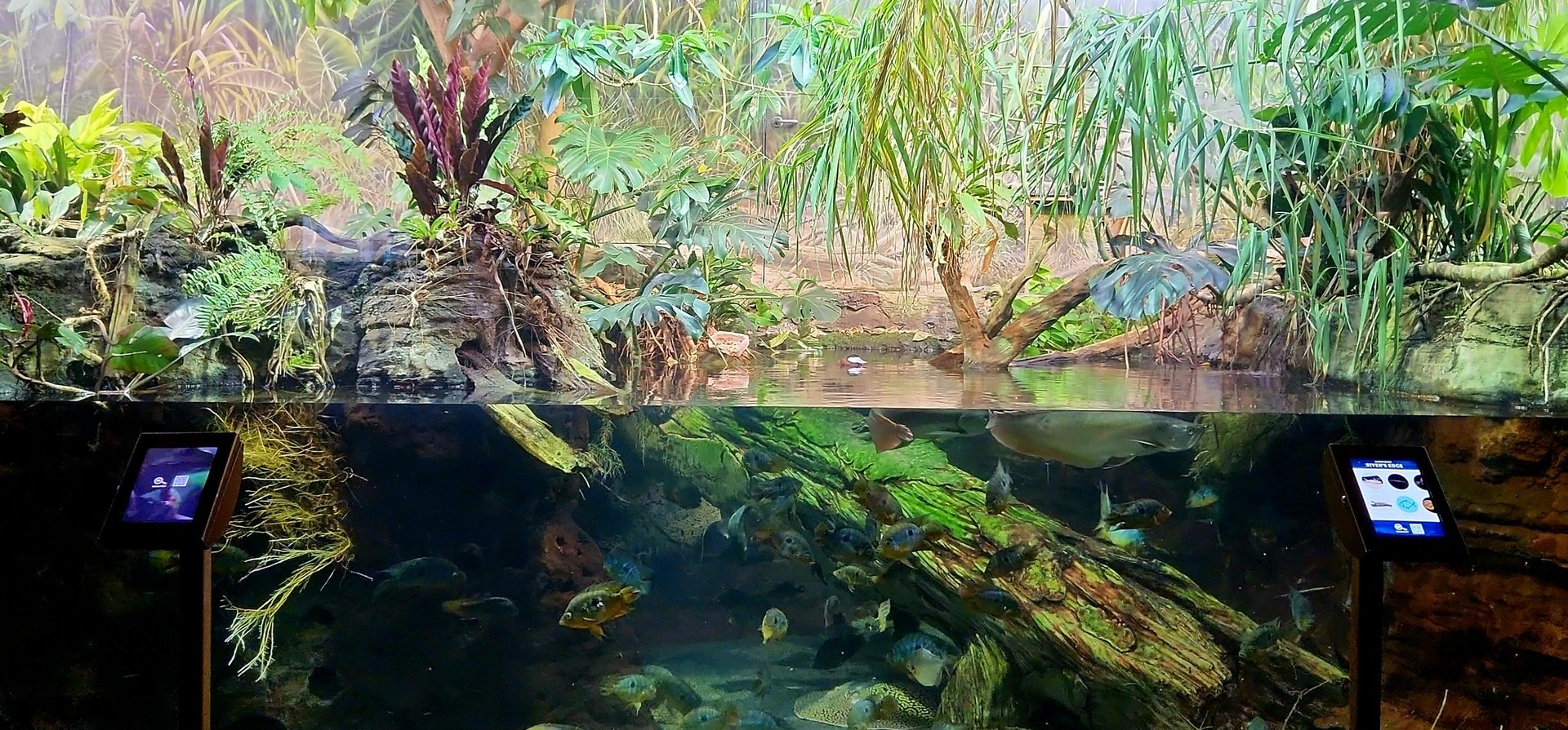 Amazon Rising: River's Edge (Left)