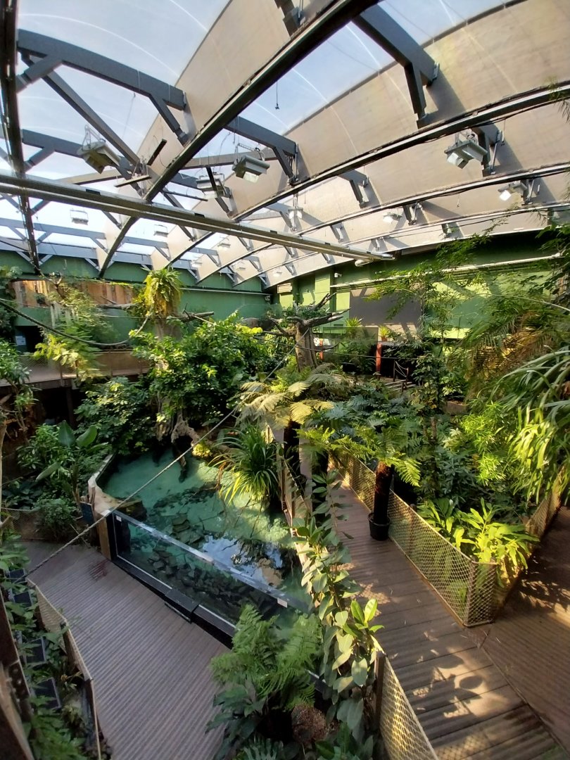 Amazon river aquarium