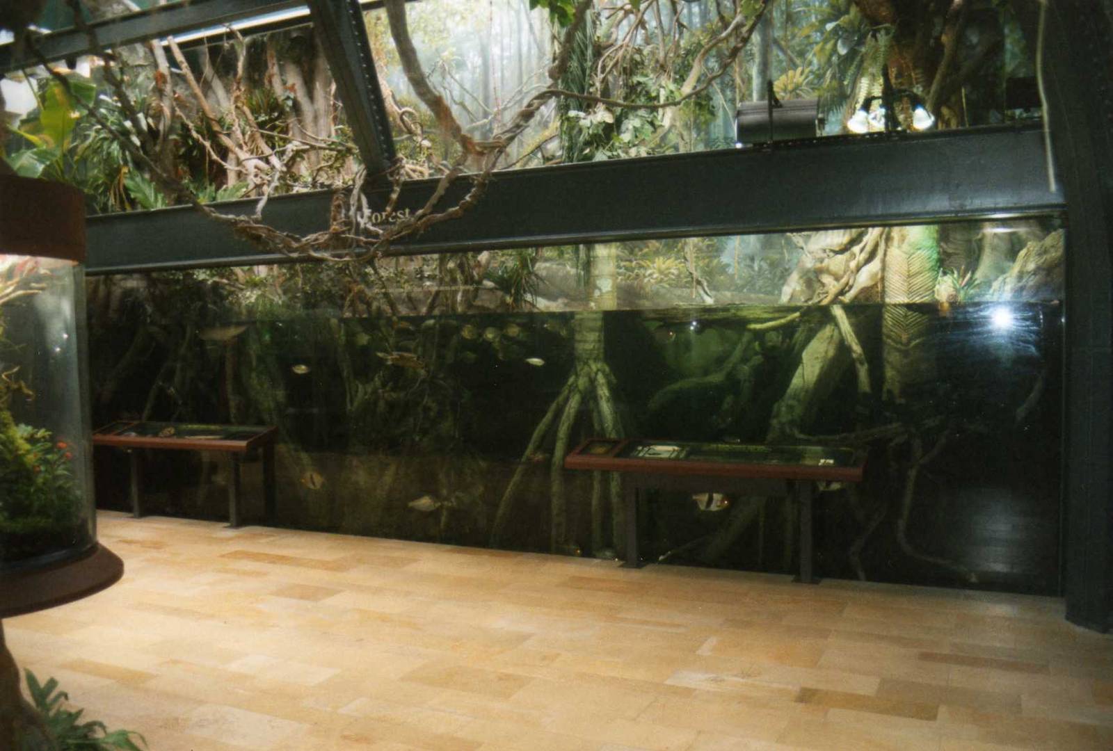 Amazon river Big Tank