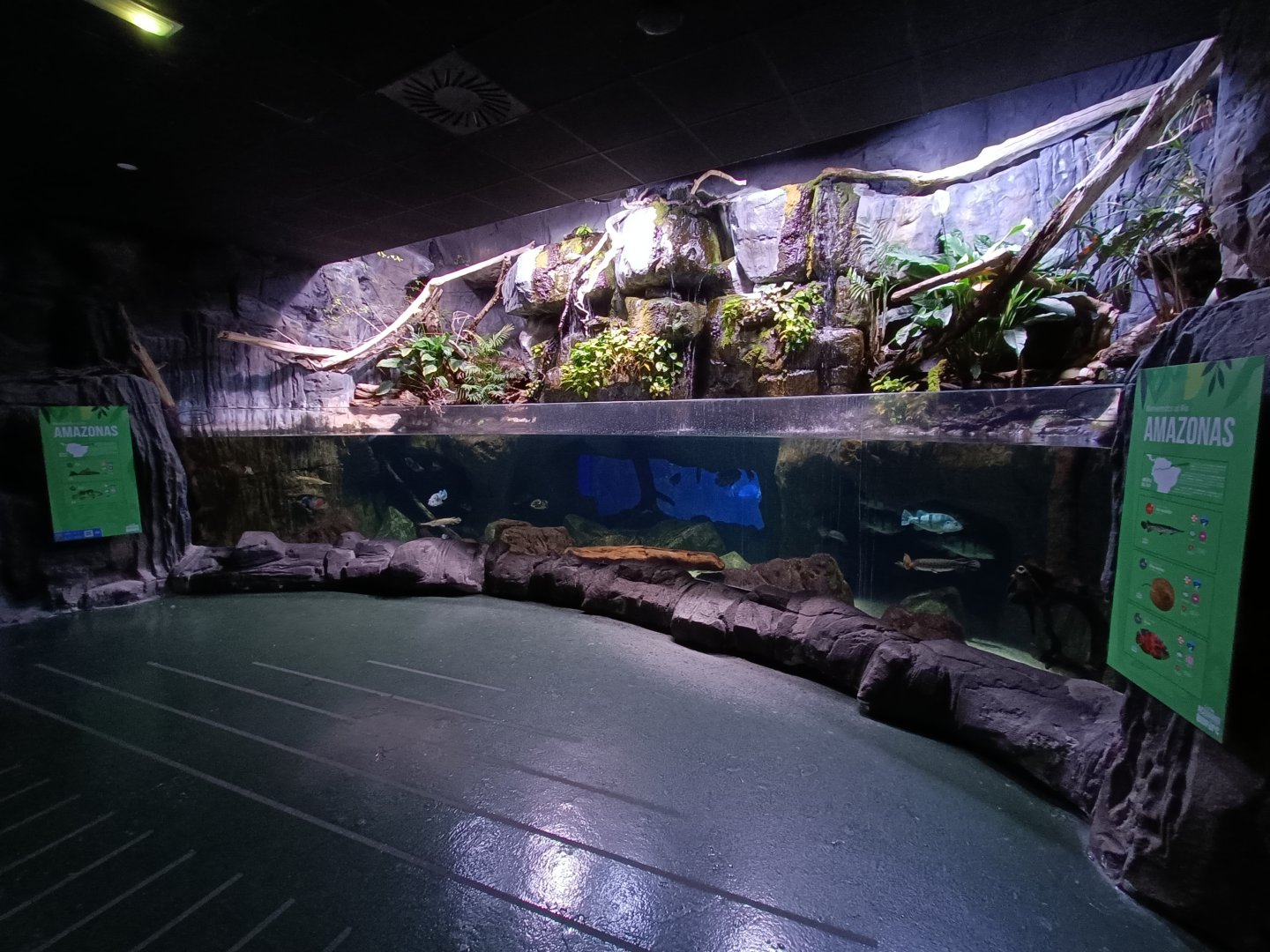 Amazon river exhibit - Bioparc Acuario de Gijón