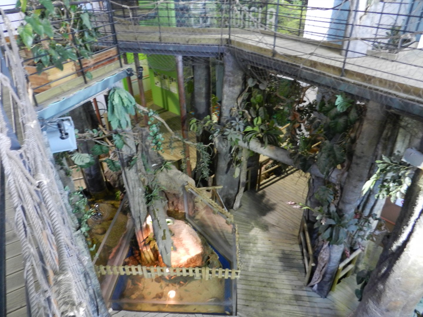 Amazon River exhibit