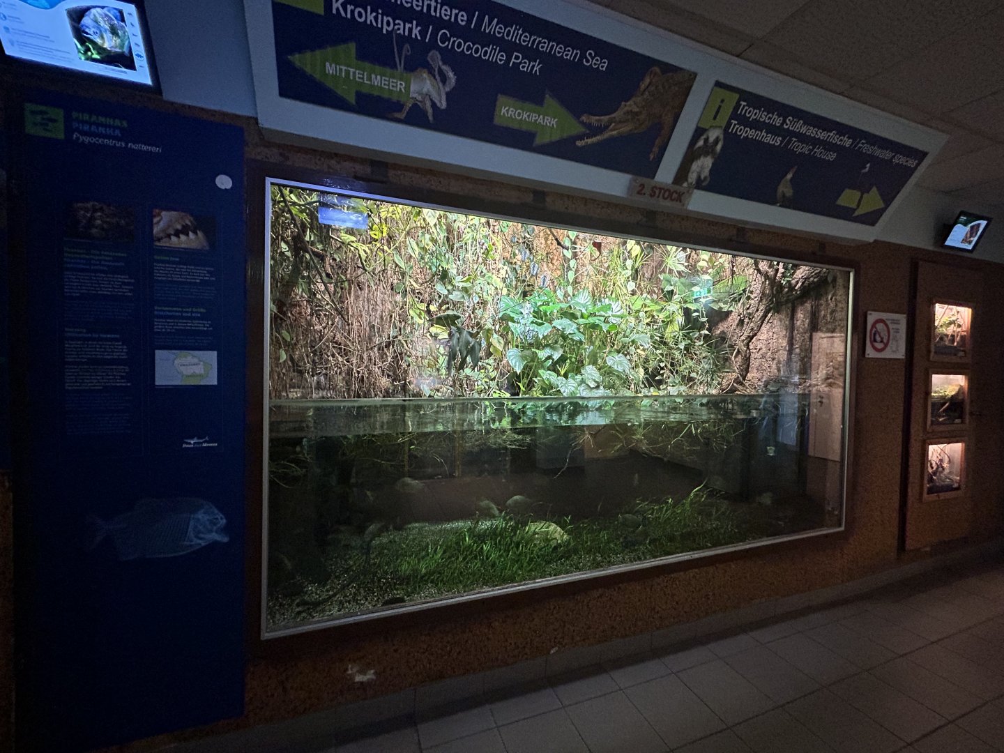 Amazon River Exhibit