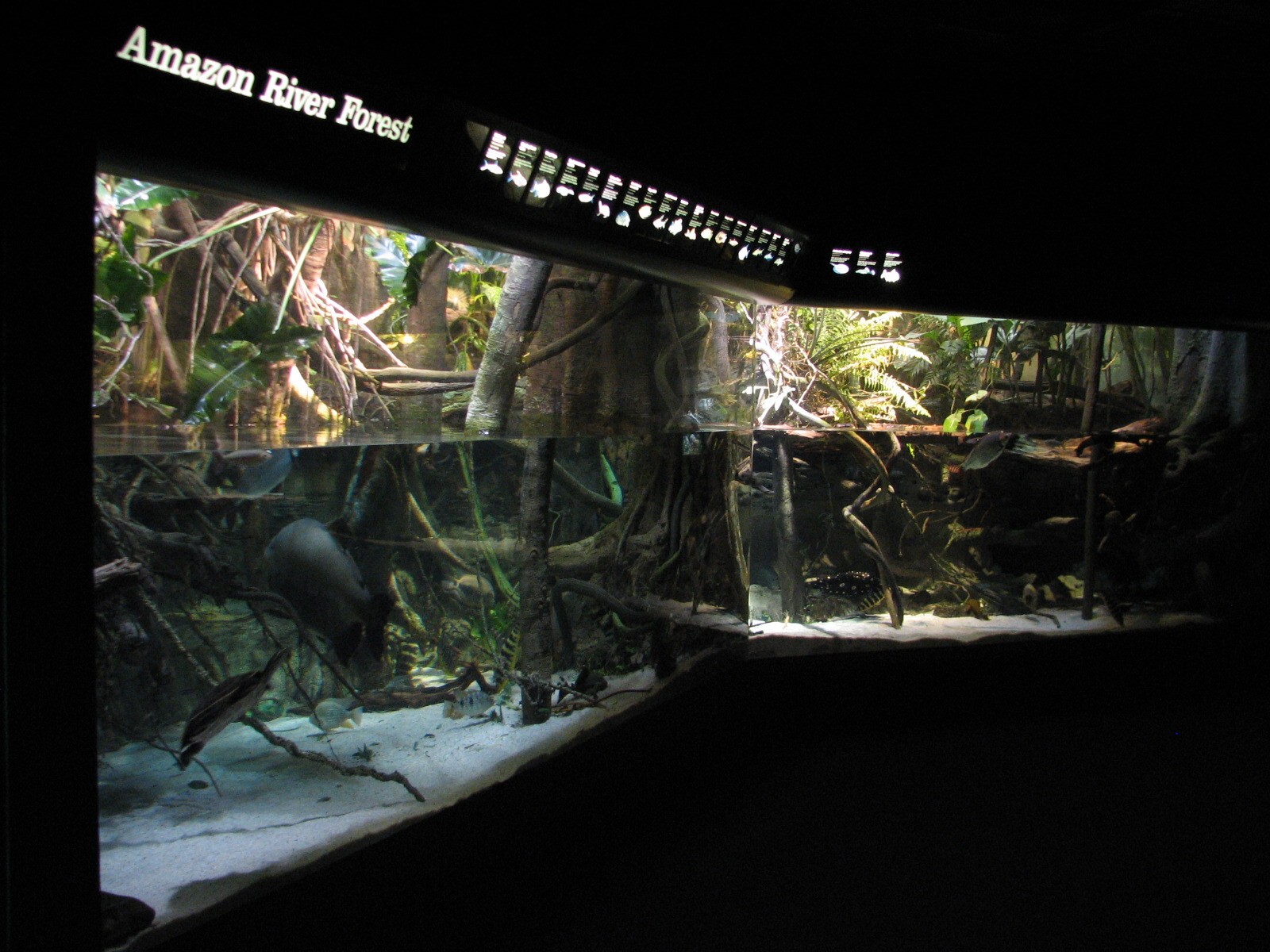 Amazon River Forest Exhibit