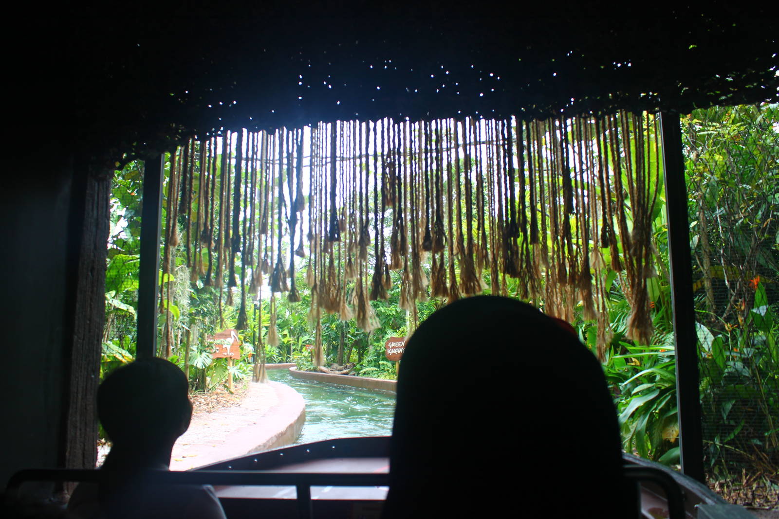 Amazon River Quest - Aviary