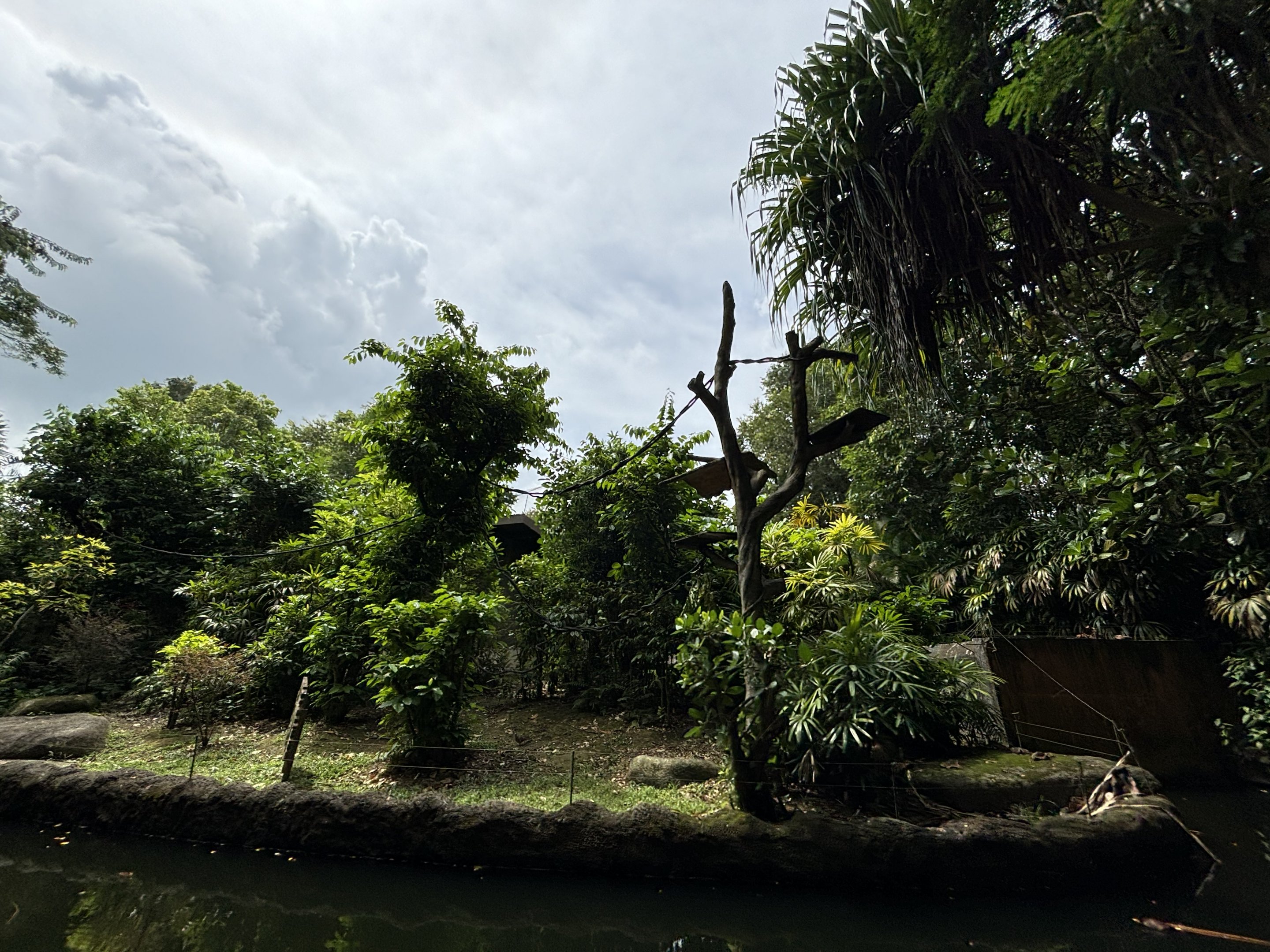 Amazon River Quest - Black Howler Monkey Exhibit
