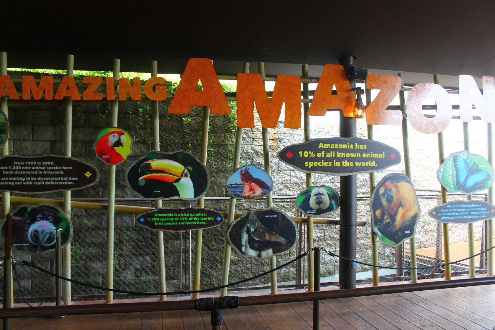 Amazon River Quest - Boat Ride Station