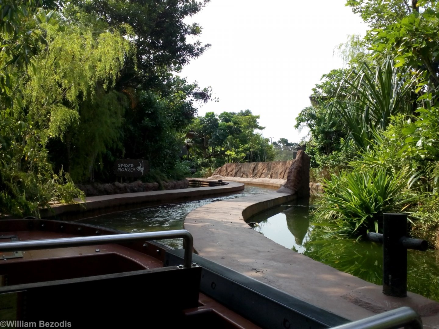 Amazon River Quest Boat Ride