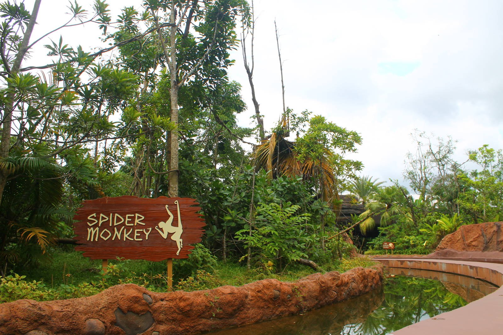 Amazon River Quest - Brown-headed Spider Monkey exhibit