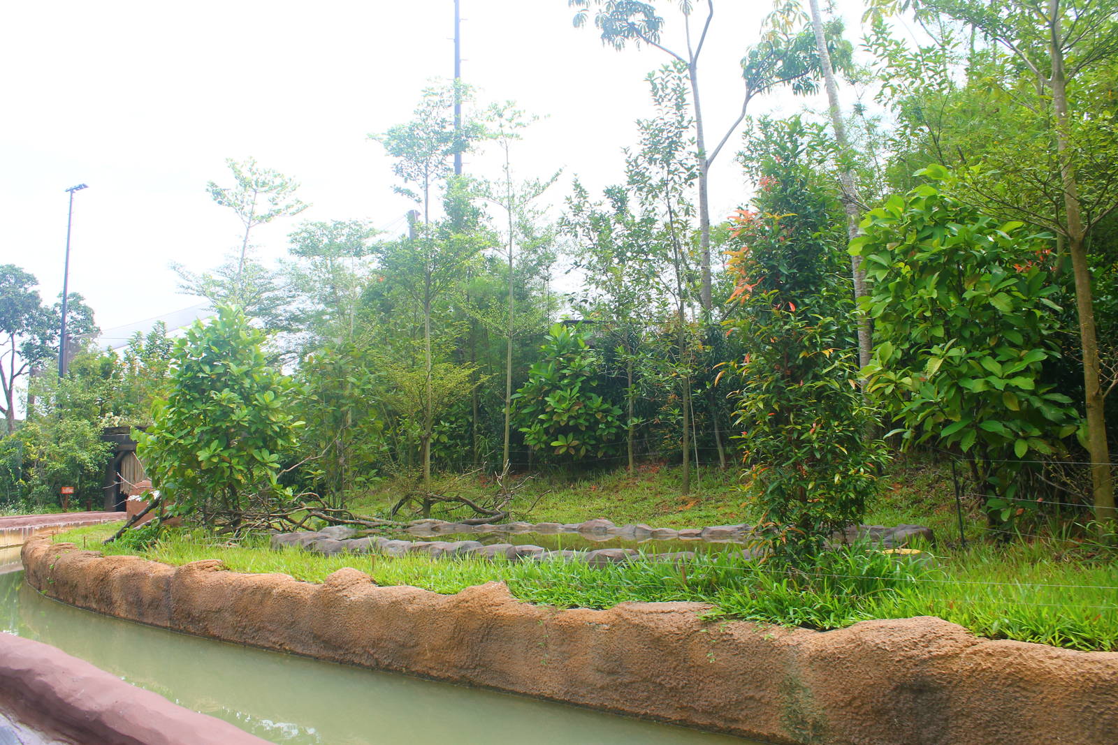 Amazon River Quest - Capybara exhibit