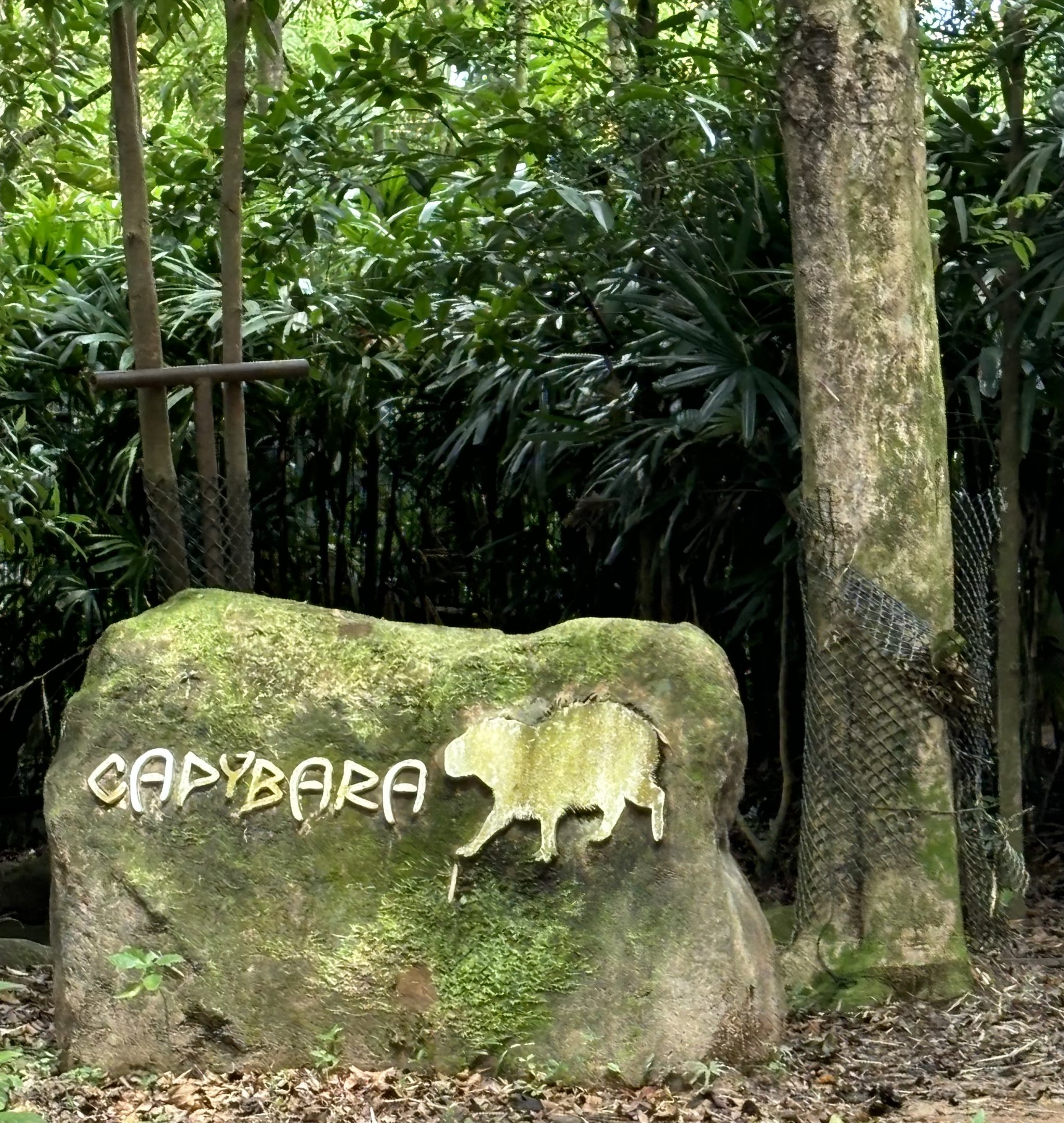 Amazon River Quest - Capybara Sign