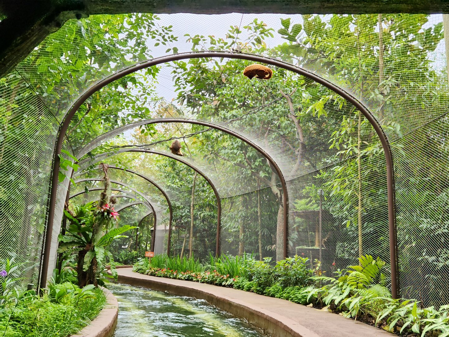 Amazon river Quest former aviary