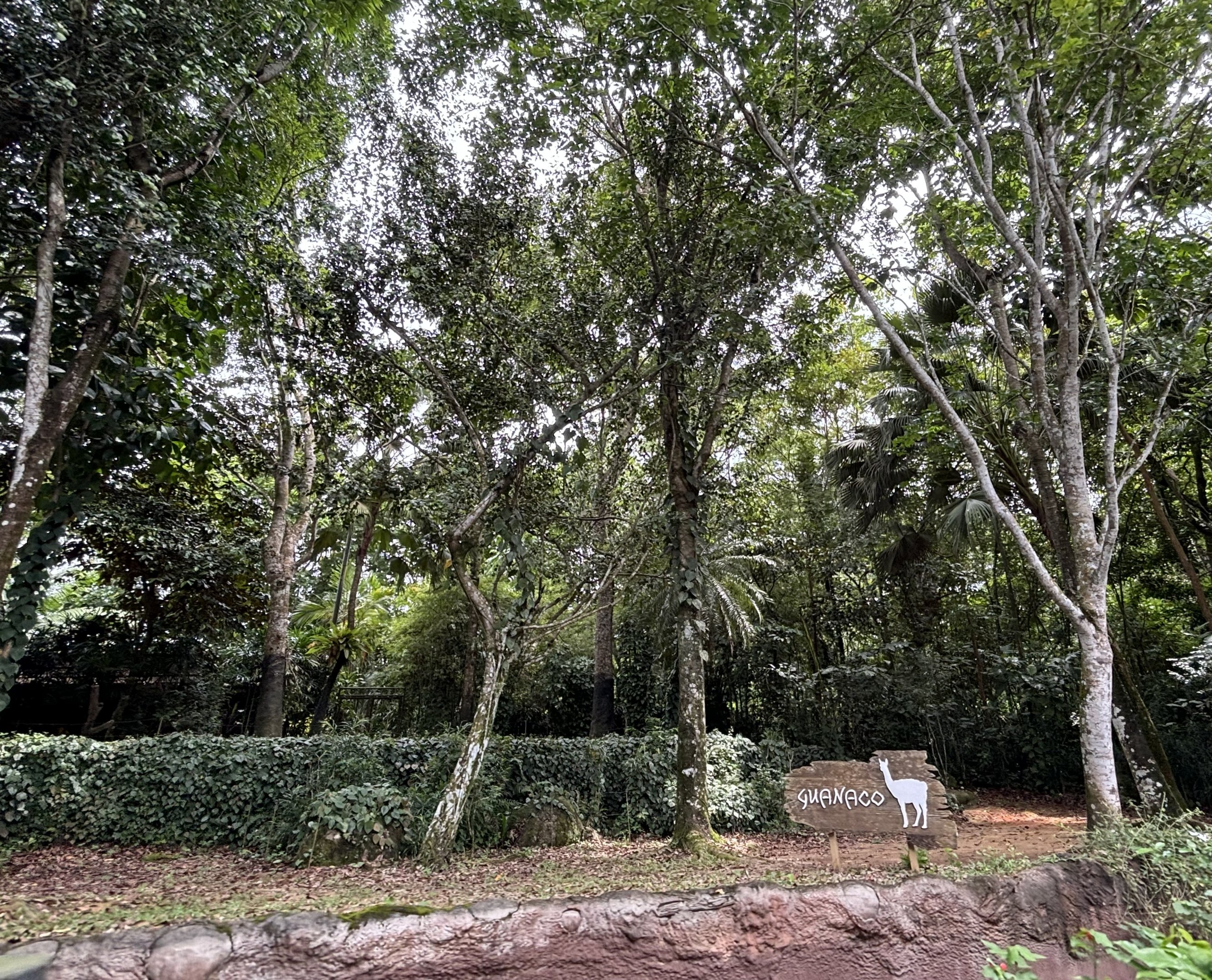 Amazon River Quest - Guanaco Exhibit