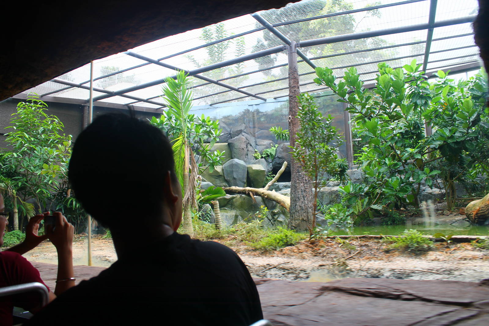Amazon River Quest - Jaguar exhibit