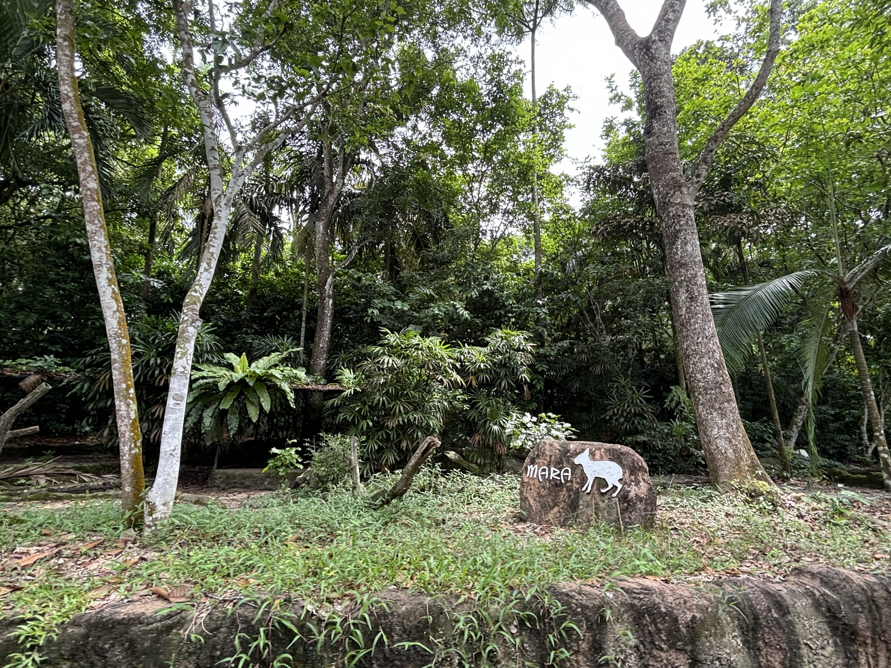 Amazon River Quest - Mara Exhibit