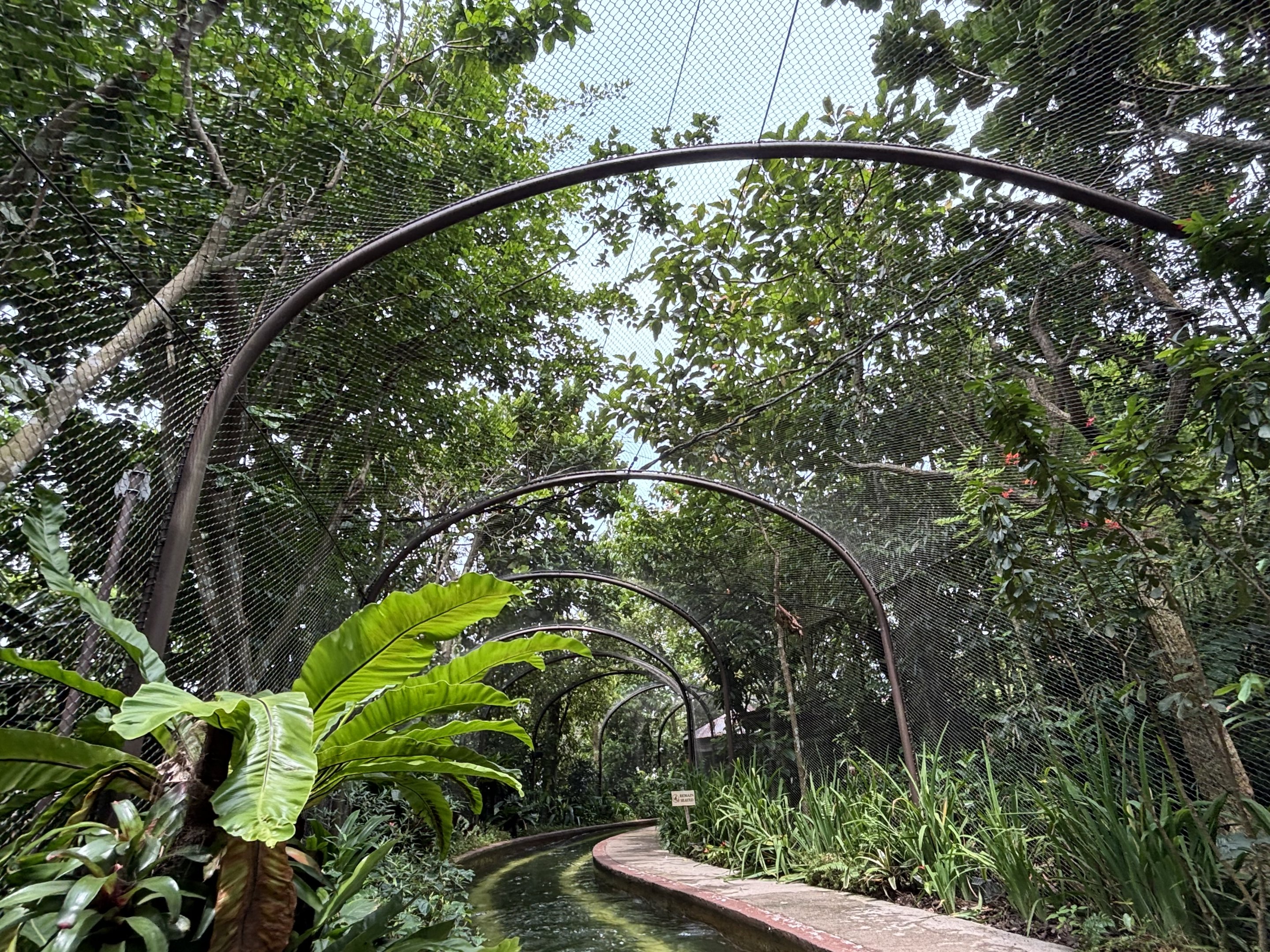 Amazon River Quest - Primate Tunnel