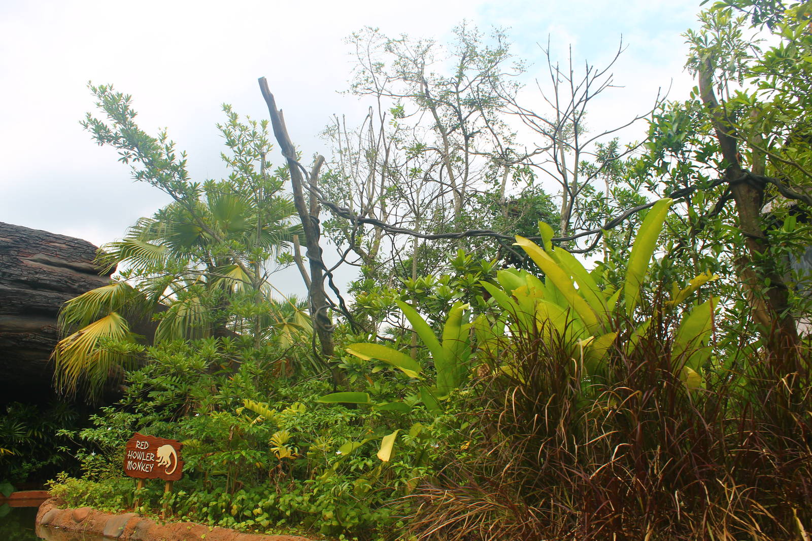Amazon River Quest - Red Howler Monkey exhibit