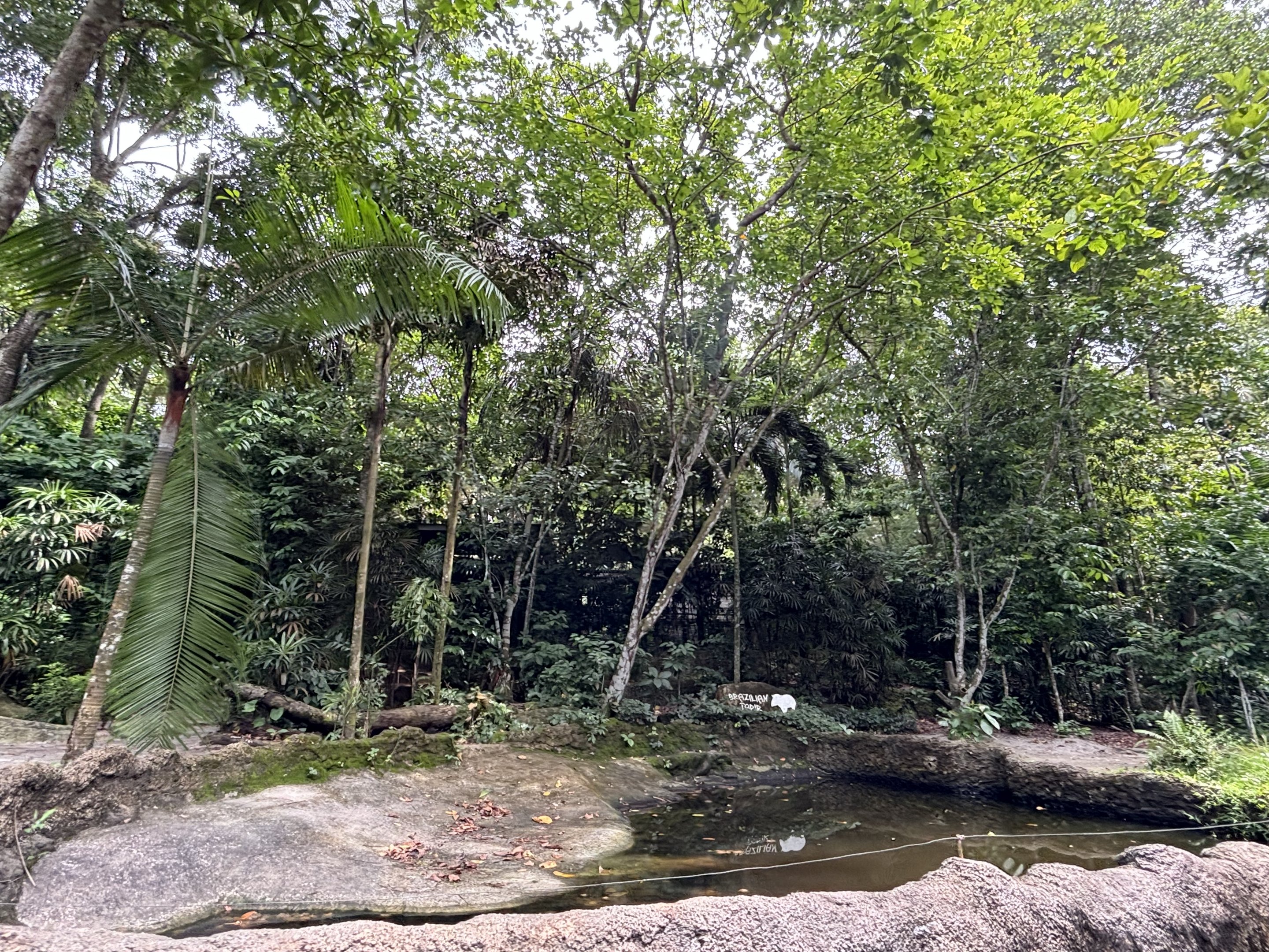 Amazon River Quest - South American Tapir Exhibit