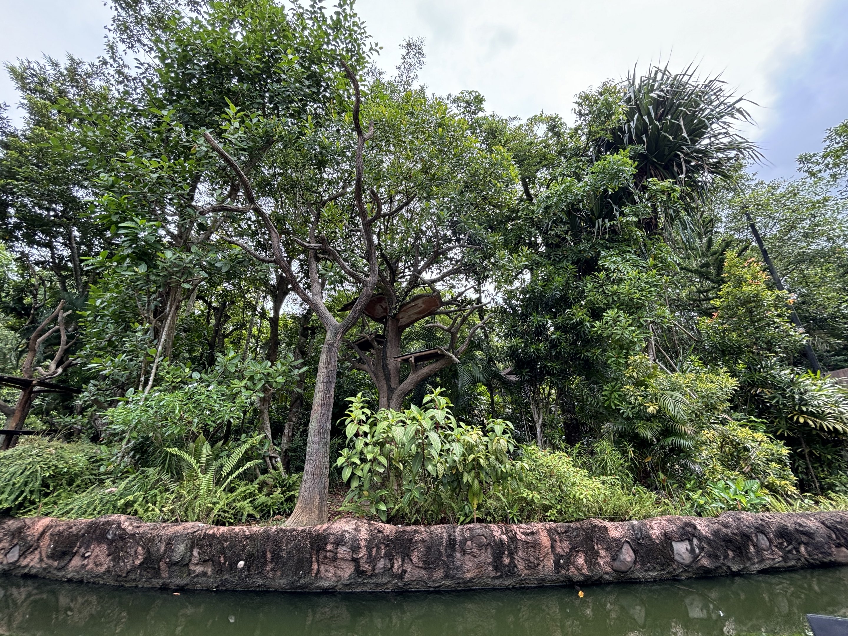 Amazon River Quest - Spider Monkey Exhibit