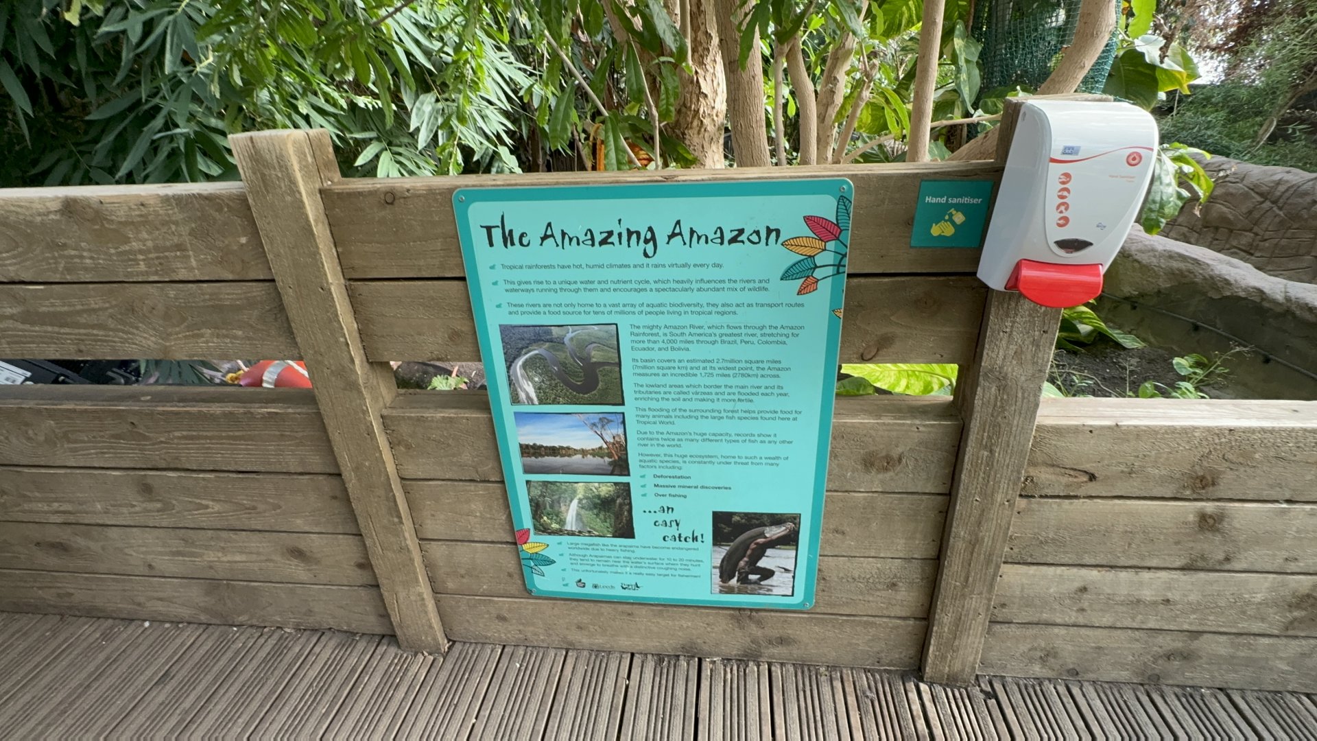 Amazon River Signage at Tropical World (October 2024)