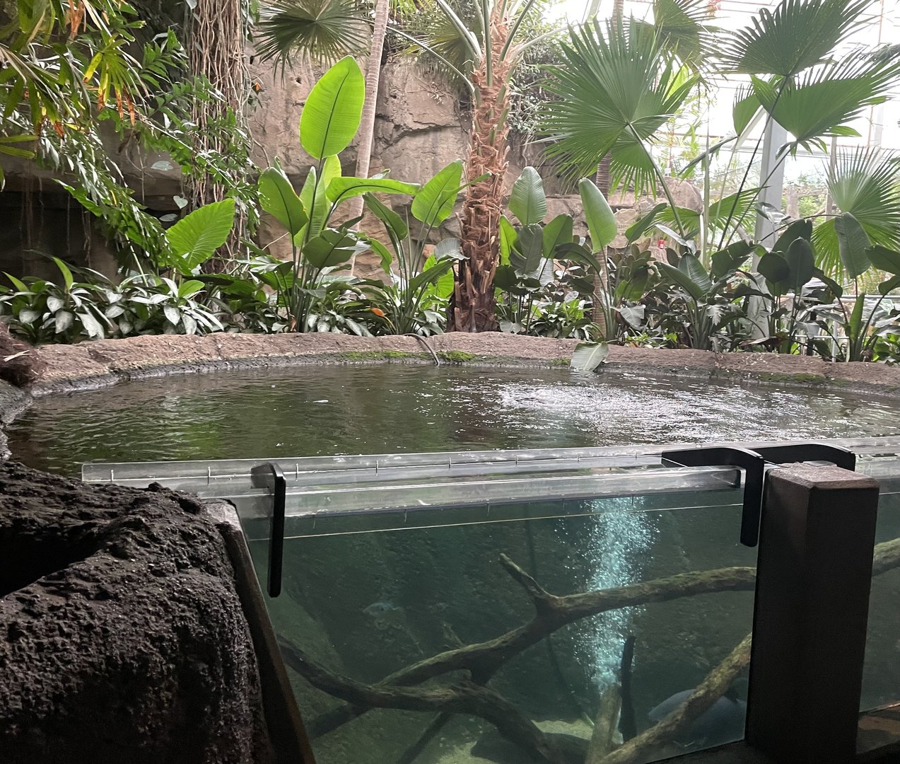 Amazon River Tank