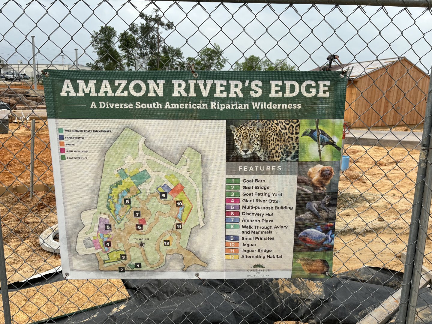Amazon River’s Edge