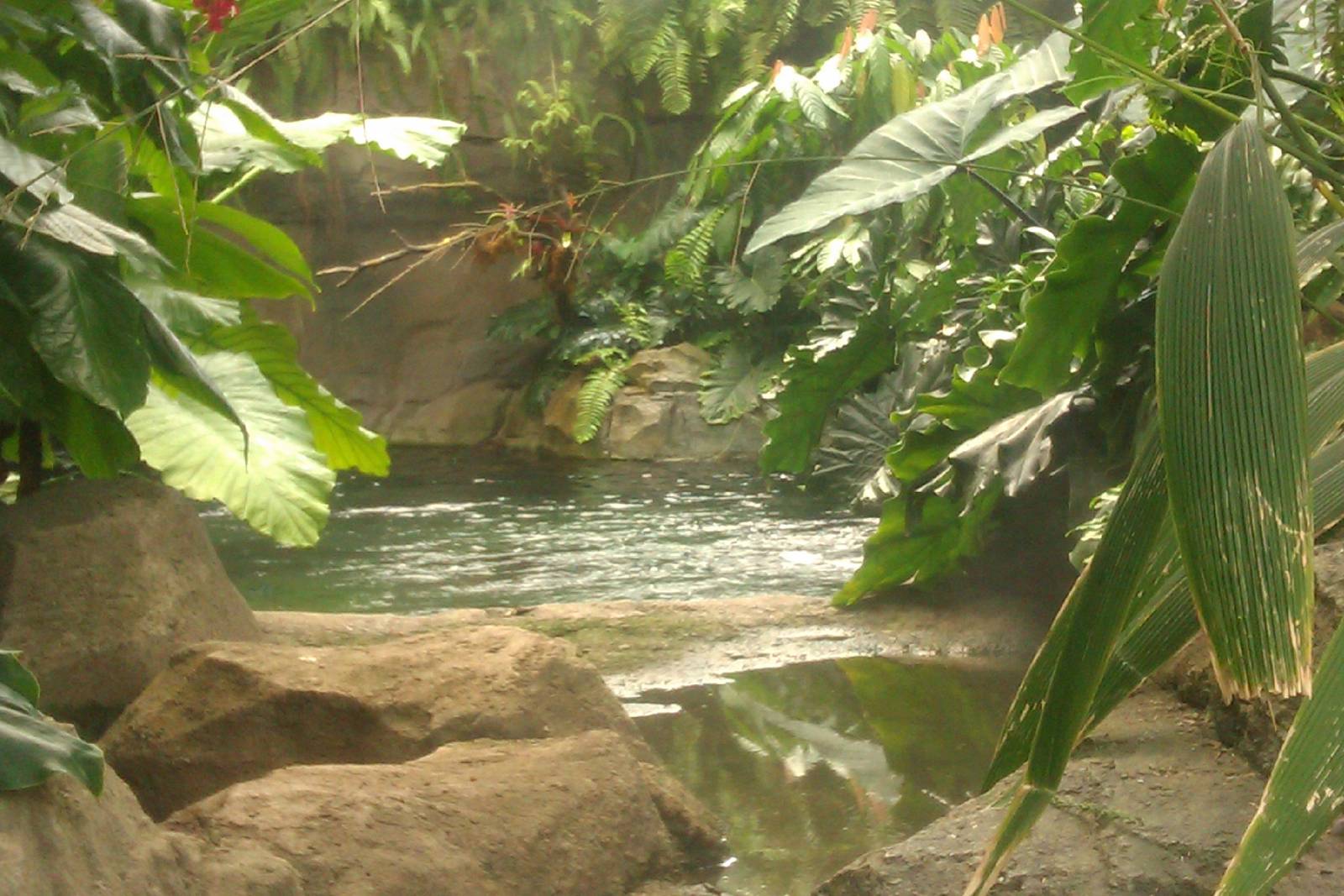 Amazon Section in PPG Aquarium