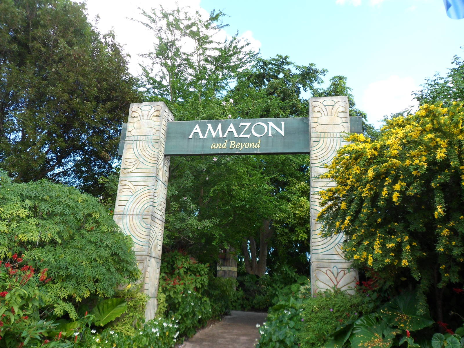 Amazon Sign