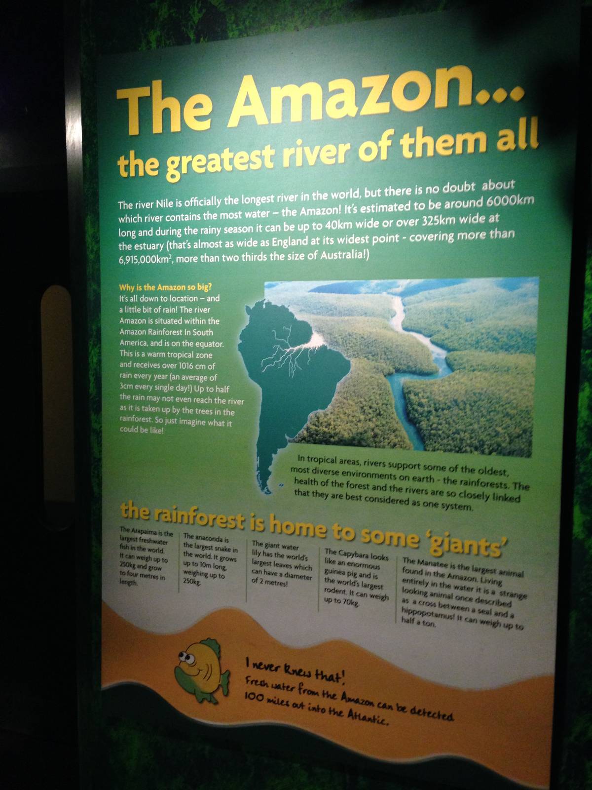 Amazon Signage at Blue Planet Aquarium - 05/10/2013