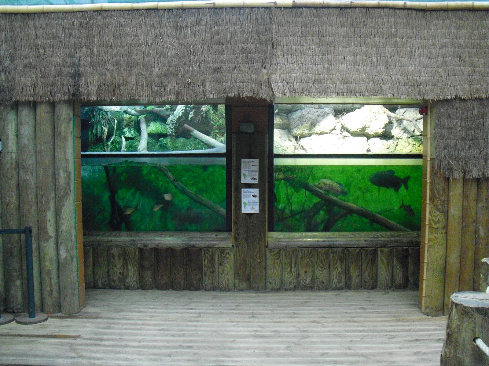 Amazon Tank - 12/10/2011