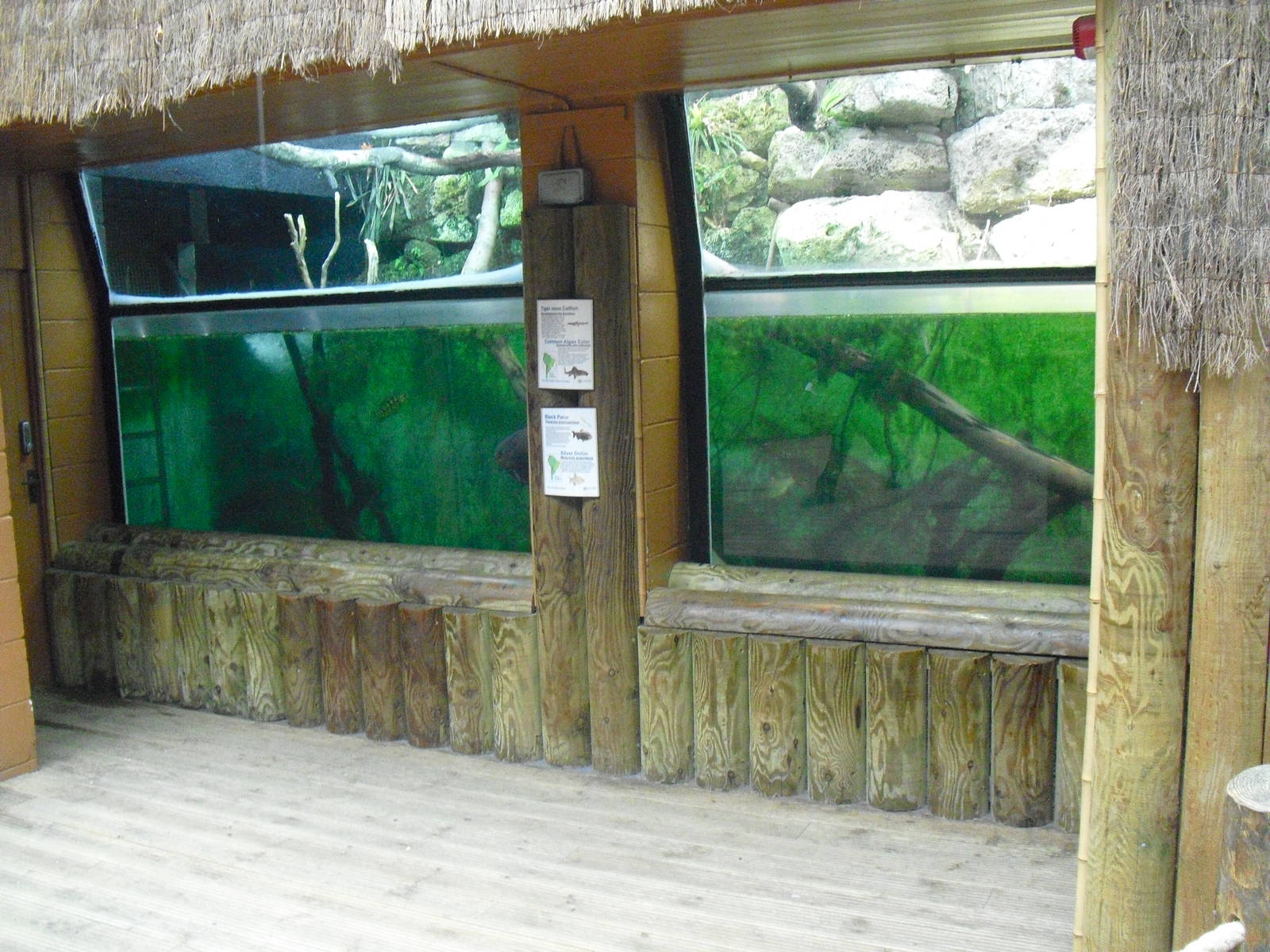 Amazon Tank - 12/10/2011