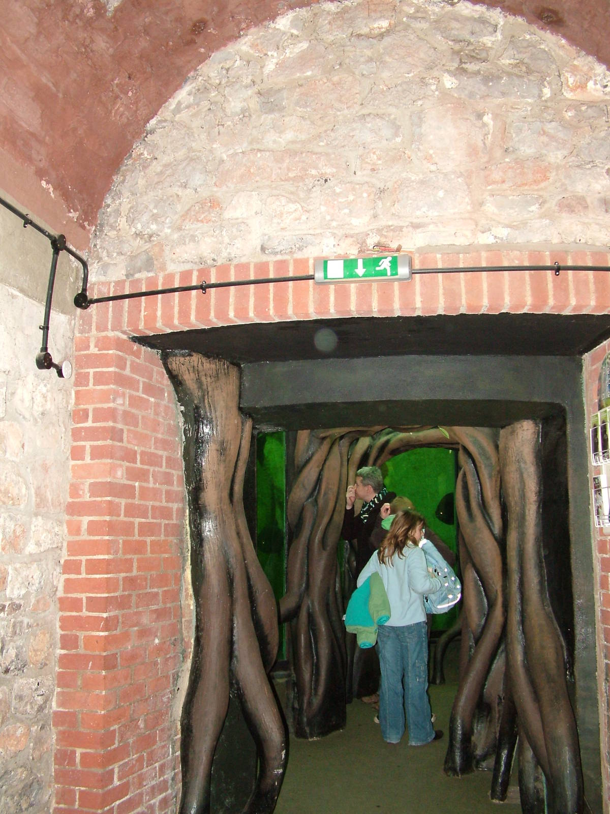 Amazon tank at Bristol 19/12/09