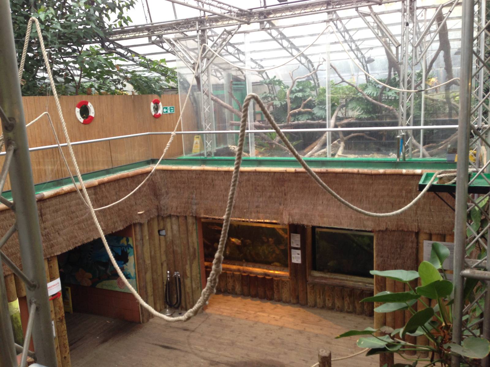 Amazon Tank at Tropical World - 02/10/2013