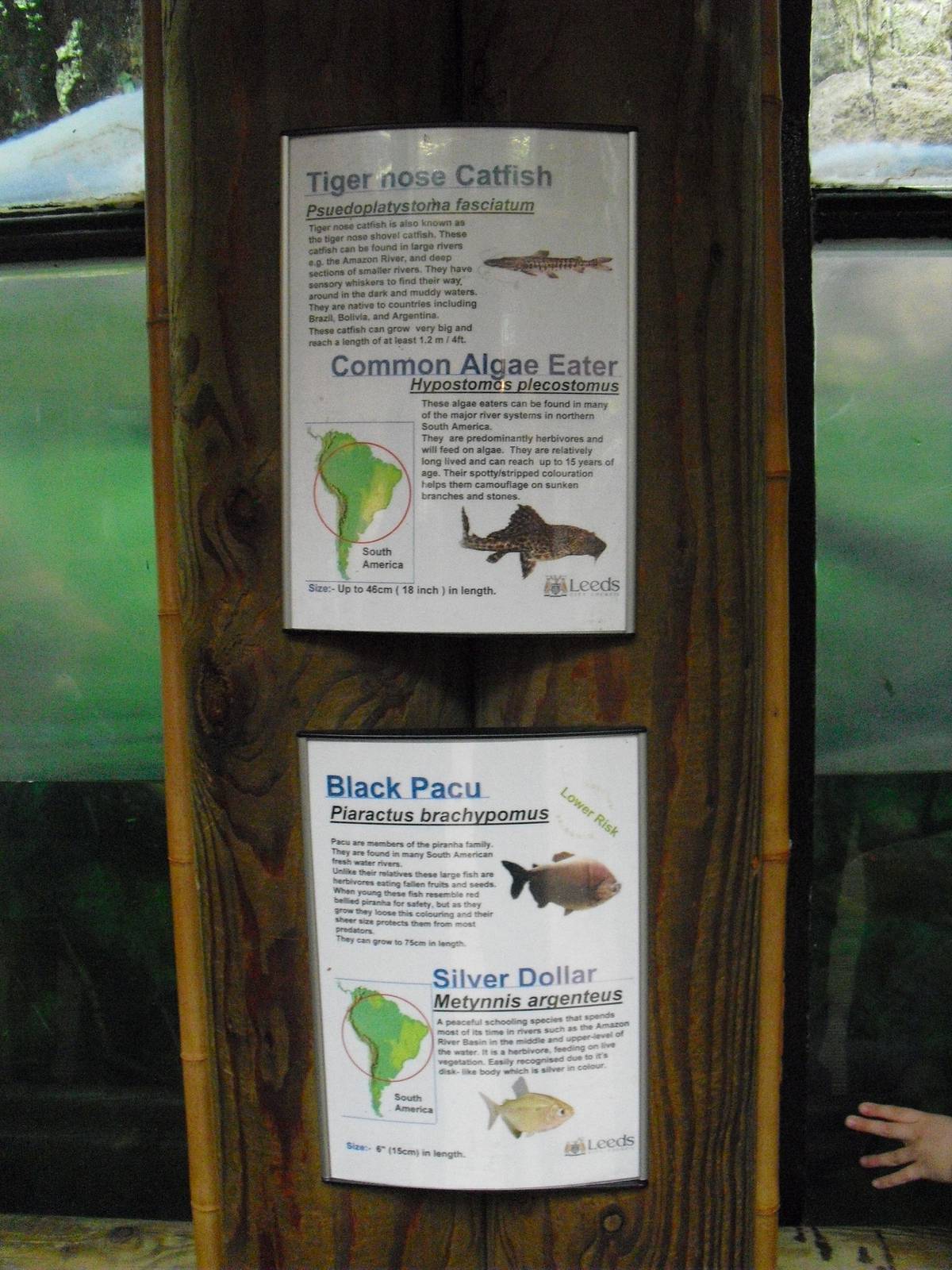 Amazon Tank Signage - 27/10/2011