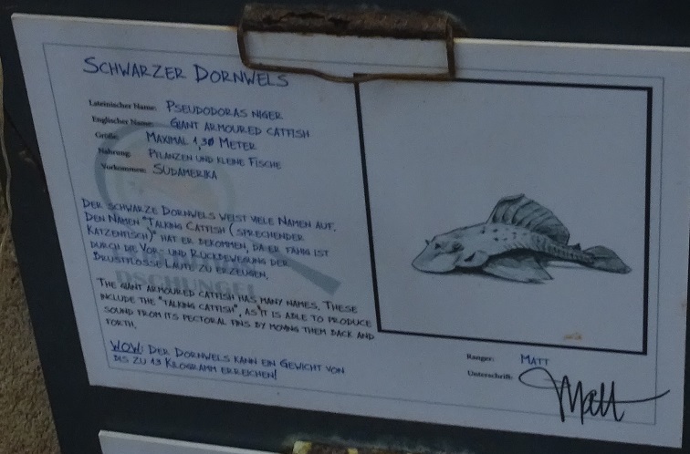 Amazon tank signage detail; something's off...