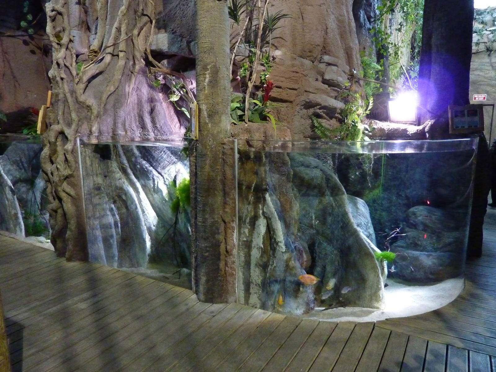 Amazon tanks, 10th April 2012