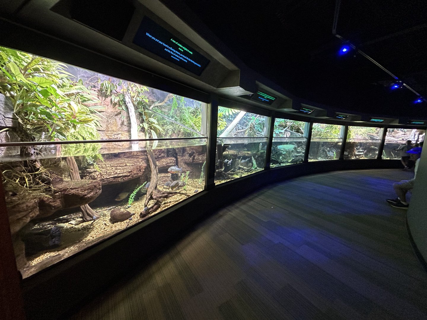 Amazon Tanks - Unseen New World