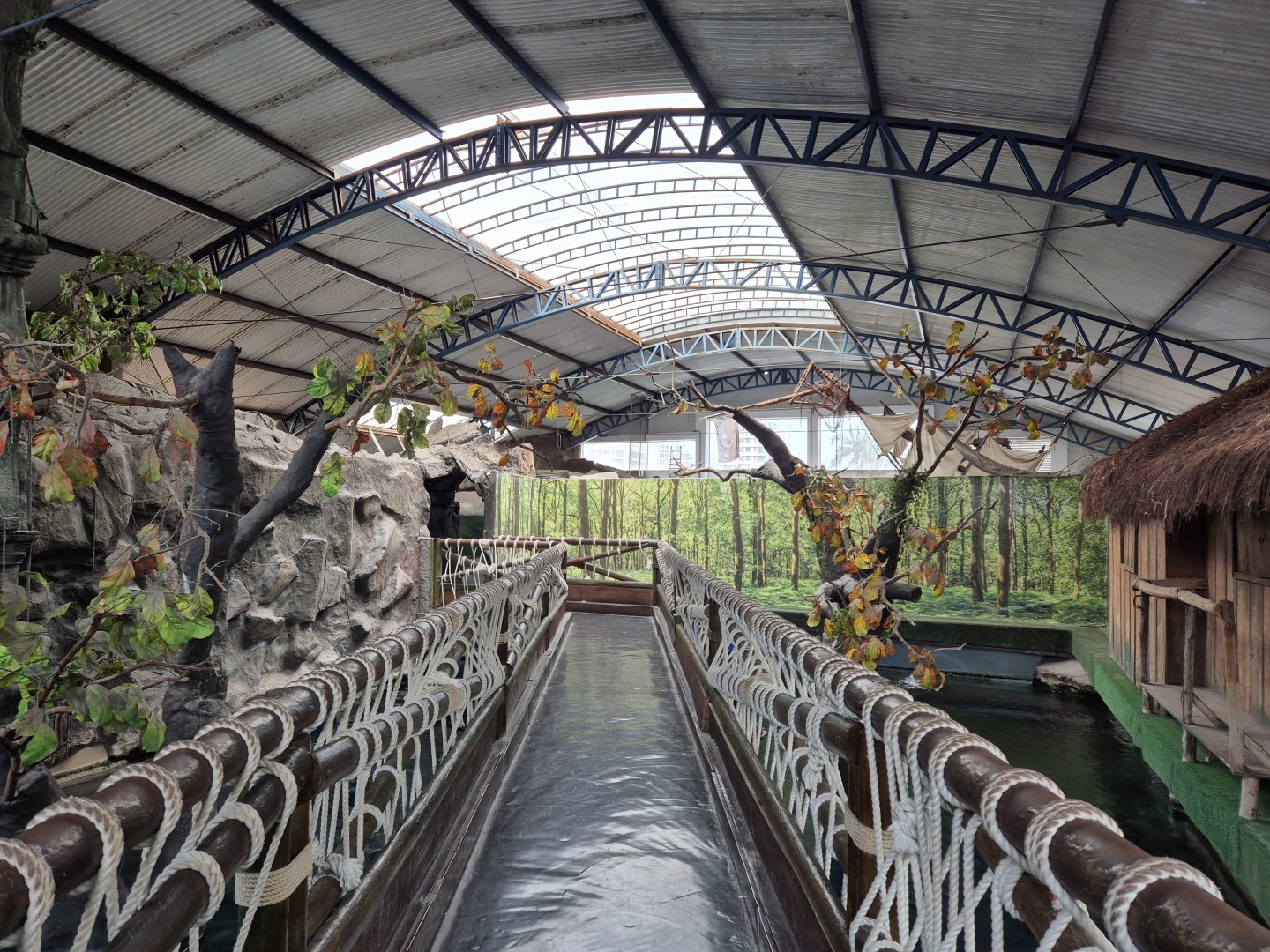 Amazon viewing platform